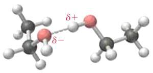 τα μόρια κάθε ένωσης είναι πολικά και έλκονται