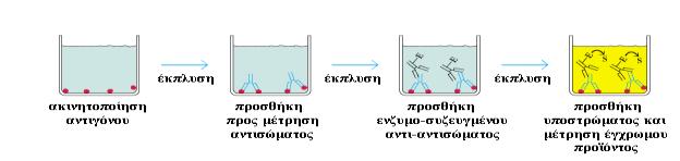 ζώων, (γ) ανίχνευση αυτοαντισωμάτων, (δ) ανίχνευση αντισωμάτων έναντι αλλεργιογόνων και (ε) ανίχνευση αντισωμάτων έναντι αντιγόνων, της στην περίπτωση της λεισμανίασης (151,152,153,154).