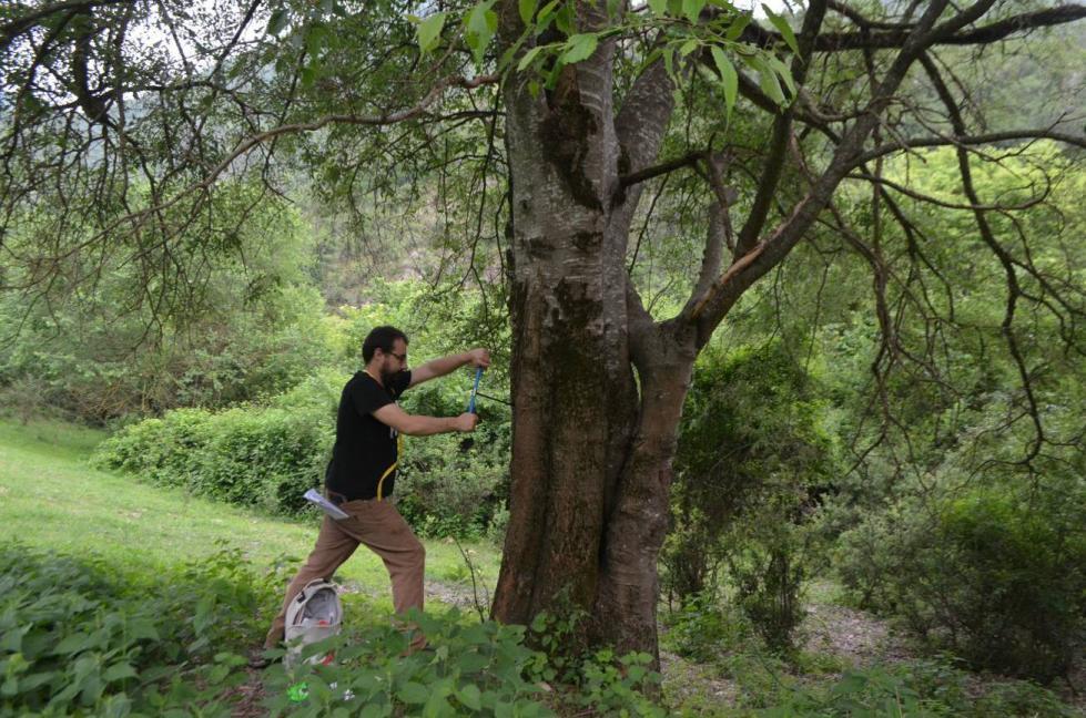 πρωτόκολλο που περιλαμβάνει τις εξής παραμέτρους: τοποθεσία, αριθμός δειγματοληψίας, έκθεση, κλίση (%), ημερομηνία, συντεταγμένες θέσης, βασικά δασικά είδη περιβάλλοντος.