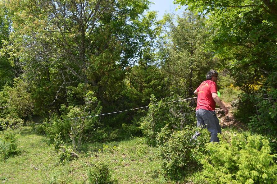 . Αποτελέσματα δειγματοληψιών Συνολικά, έγιναν διαφορετικές δειγματοληψίες σε διαφορετικές θέσεις. Το συνολικό μήκος των γραμμών δειγματοληψίας ήταν. m και καταγράφθηκαν συνολικά δέντρα και θάμνοι.