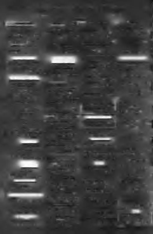 Α Ν Τ Ε Σ - Ε Λ Α Γ Π Κ Α Ι Γ Μ Π Ο Ρ Ι Ο Κ Α Ι S E R V I C E ) ΧΡΗΣΤΟΣ ΜΑΝΤΖΙΑΡΙΔΗΣ Π. Περ. οδός Βέροιας - Θεσ/νικης 23310 60571 ΕΞΕίΔΙΚΕΥΜΕΝΟ SERVICE OPEL - FORD ΔΕΤΣΟΣ ΧΑΡΗΣ Ππρ.