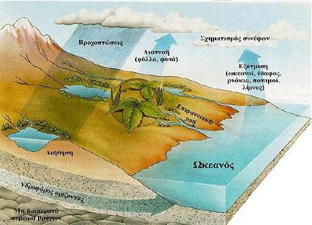 ή από το έδαφος (εξάτμιση) προς την ατμόσφαιρα, εξαρτάται από την κινητικότητα των υδρατμών, την υγρασία, τη θερμοκρασία και την ταχύτητα του ανέμου πλησίον της κόμης του φυτού.