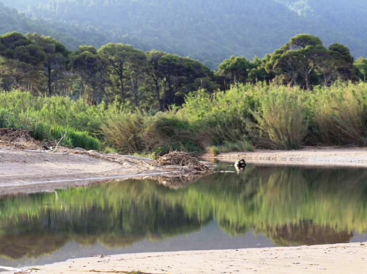 2. Περιοχές ενταγμένες στο δίκτυο NATURA 2000 Σε αυτή την περίπτωση η Ευρωπαϊκή Νομοθεσία είναι καθοριστικής σημασίας (Οδηγία 92/43/ΕΟΚ).