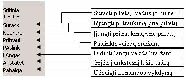 koordinatę ir prašo Toliau:, tada pelereikia nurodyti kitą linijos tašką.