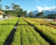 Recursos Naturales Sistema Integrado de Estadística Agraria Sistema