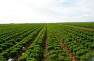 Indicadores Productivos Sistema Integrado de Estadística Agraria Sistema