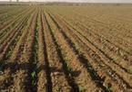 SIEA El Ministerio de Agricultura y Riego, presenta el Boletín del Sistema Integrado de Estadísticas Agrarias (SIEA), en cumplimiento a lo dispuesto en el Decreto Legislativo Nº 1082 y su Reglamento.