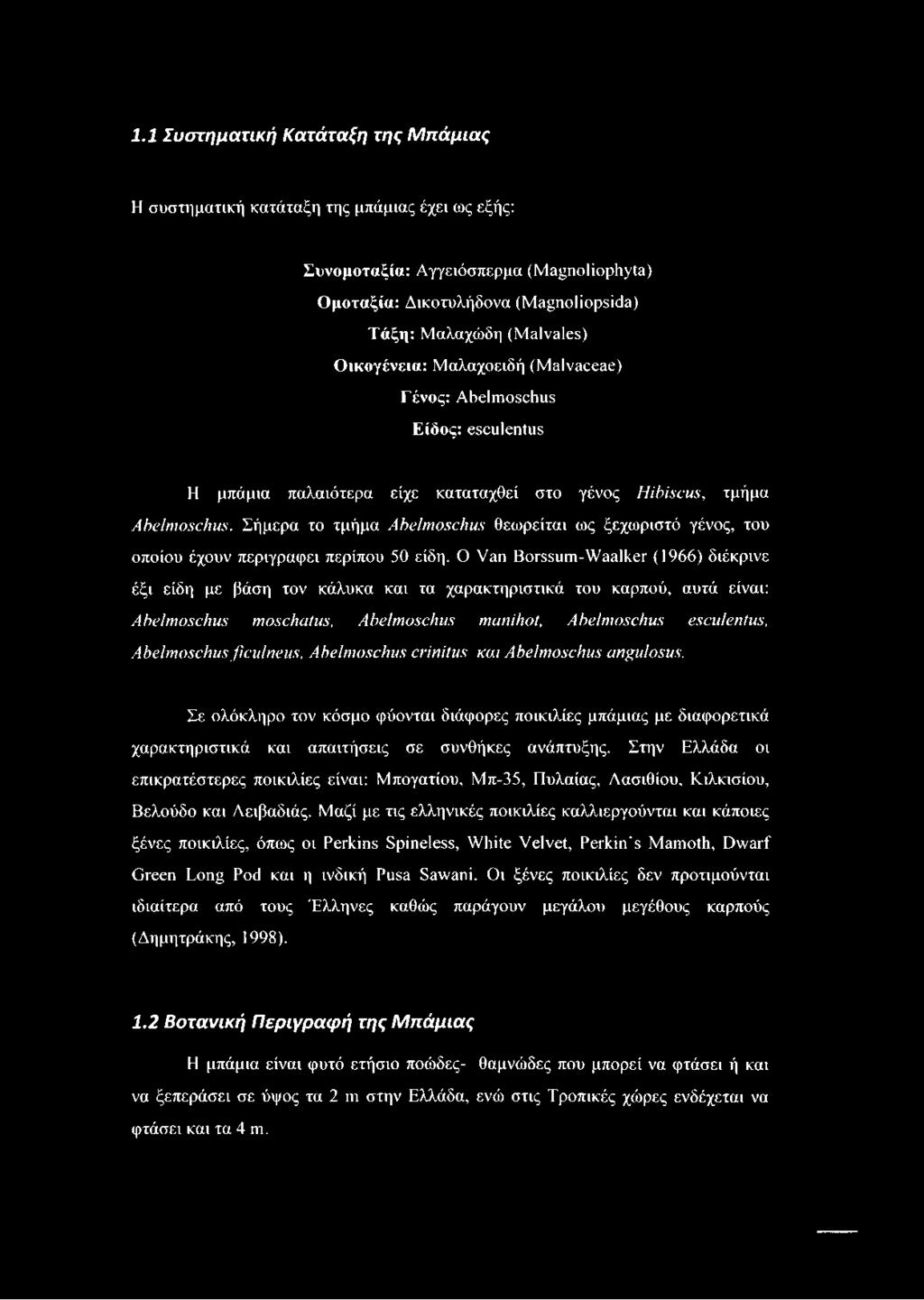 Σήμερα το τμήμα Abelmoschus θεωρείται ως ξεχωριστό γένος, του οποίου έχουν περιγράφει περίπου 50 είδη.