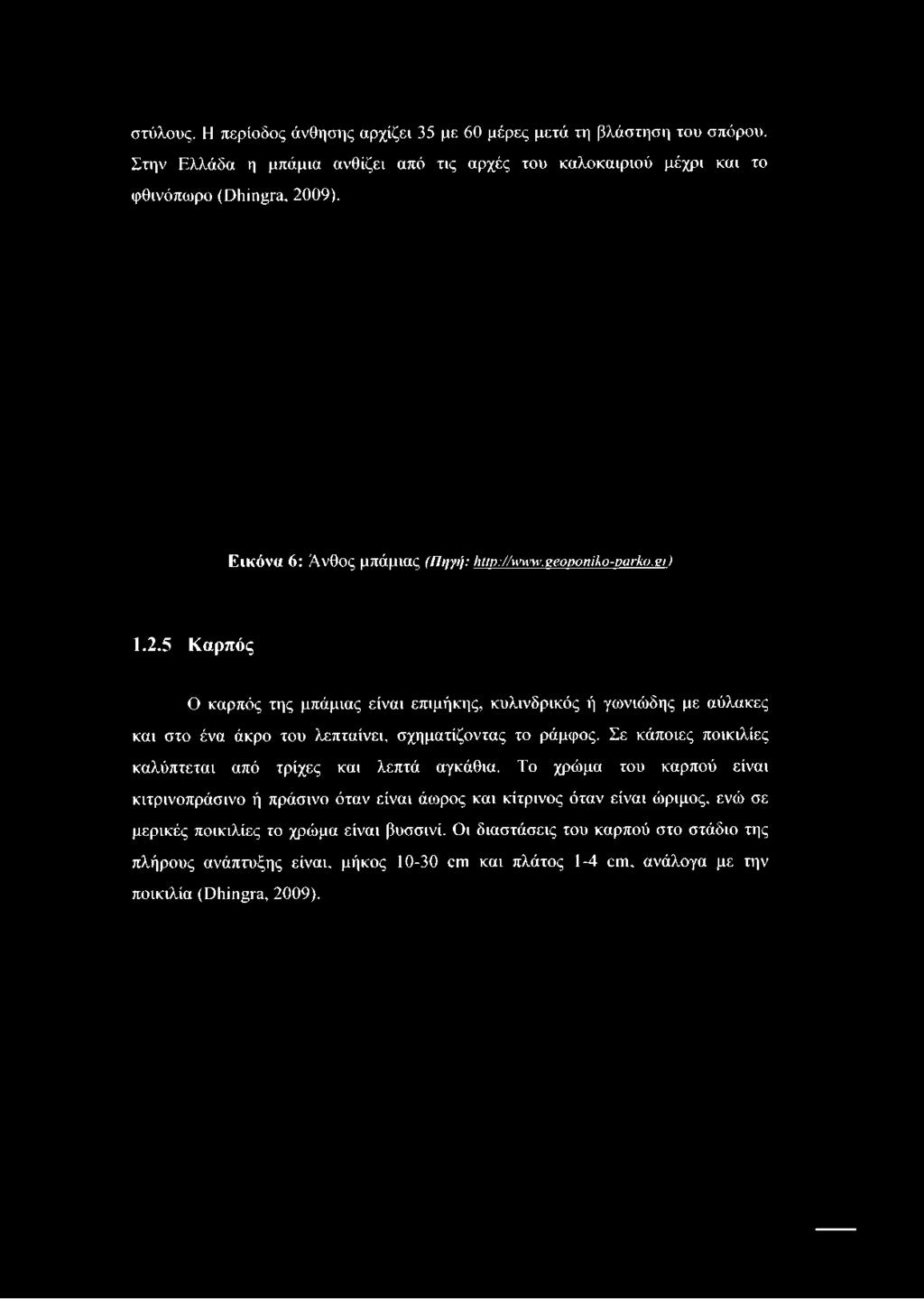 Εικόνα 6: Άνθος μπάμιας (Πηγή: Ιιαρ://\ηην.ζβοροηίΙνο-ραι-Κο.ει) 1.2.