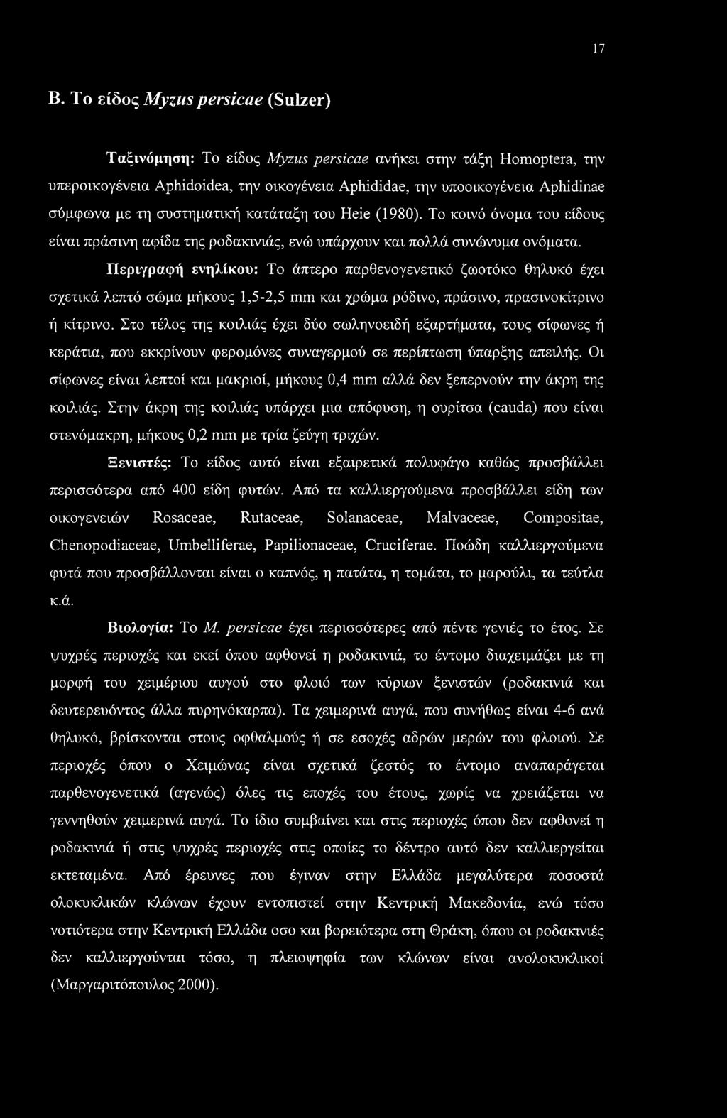 Περιγραφή ενηλίκου: Το άπτερο παρθενογενετικό ζωοτόκο θηλυκό έχει σχετικά λεπτό σώμα μήκους 1,5-2,5 mm και χρώμα ρόδινο, πράσινο, πρασινοκίτρινο ή κίτρινο.