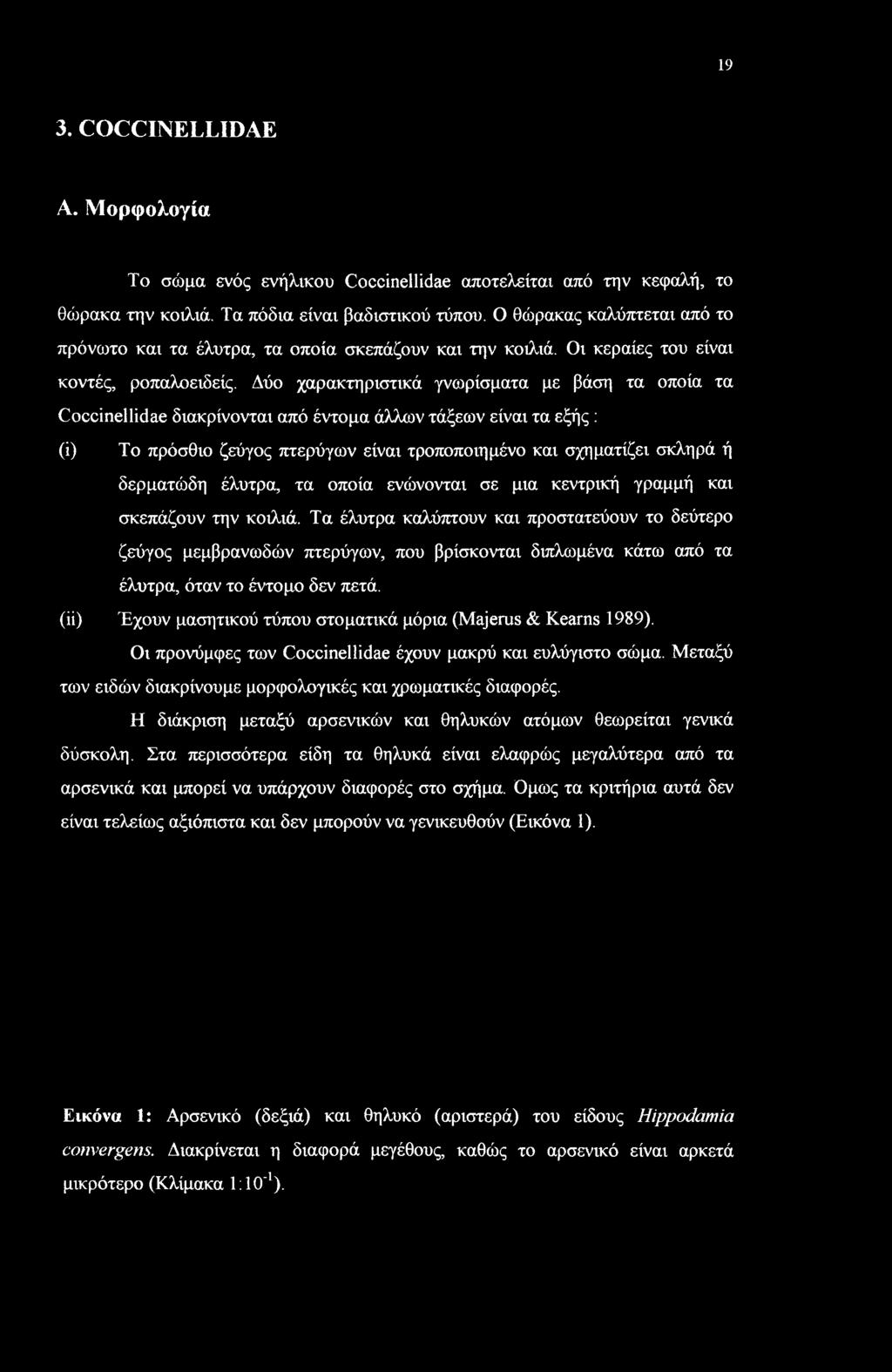 Δύο χαρακτηριστικά γνωρίσματα με βάση τα οποία τα Coccinellidae διακρίνονται από έντομα άλλων τάξεων είναι τα εξής : (i) Το πρόσθιο ζεύγος πτερύγων είναι τροποποιημένο και σχηματίζει σκληρά ή