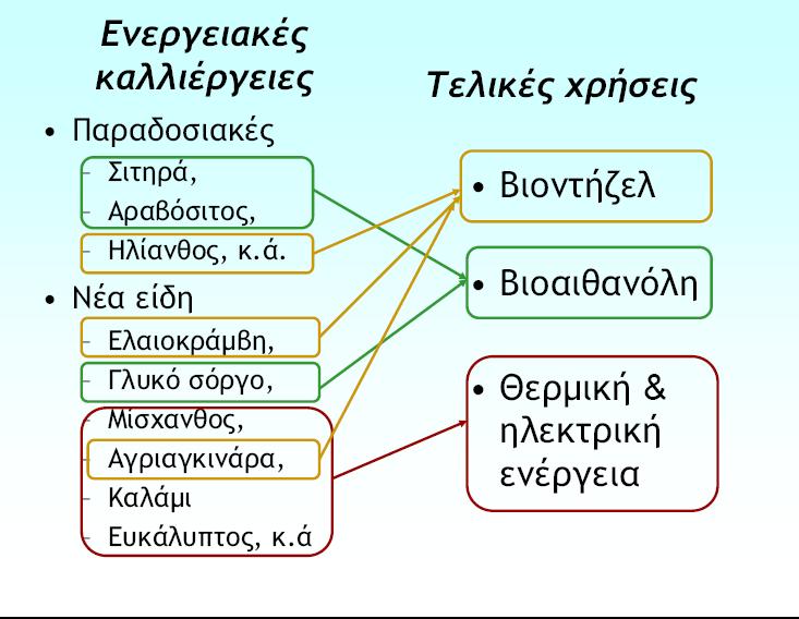 1.Πολυετείς: Γεωργικές: Αγριαγκινάρα (Cynara cardunculus), καλάµι (Arundo donax L.