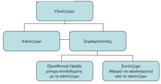 8 Δομι ζνηφμων Τα περιςςότερα ζνηυμα είναι πρωτεϊνεσ. Κάποια από αυτα τα ζνηυμα όμωσ ενϊνονται με μθ πρωτεϊνικά μόρια.