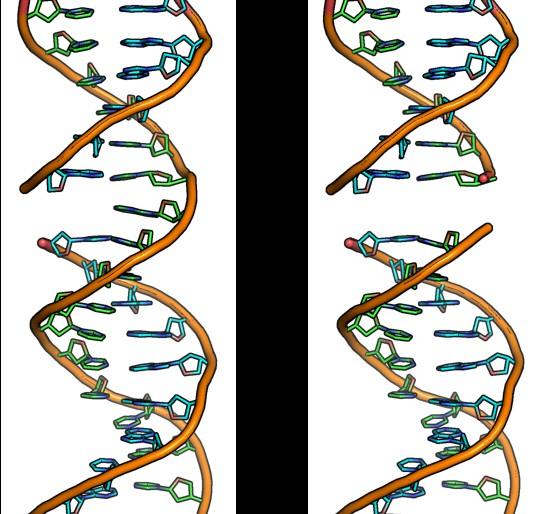 ΒΛΑΒΕΣ DNA Εικόνες 3-4: Υλικό με μη προσδιορισμένη προέλευση.