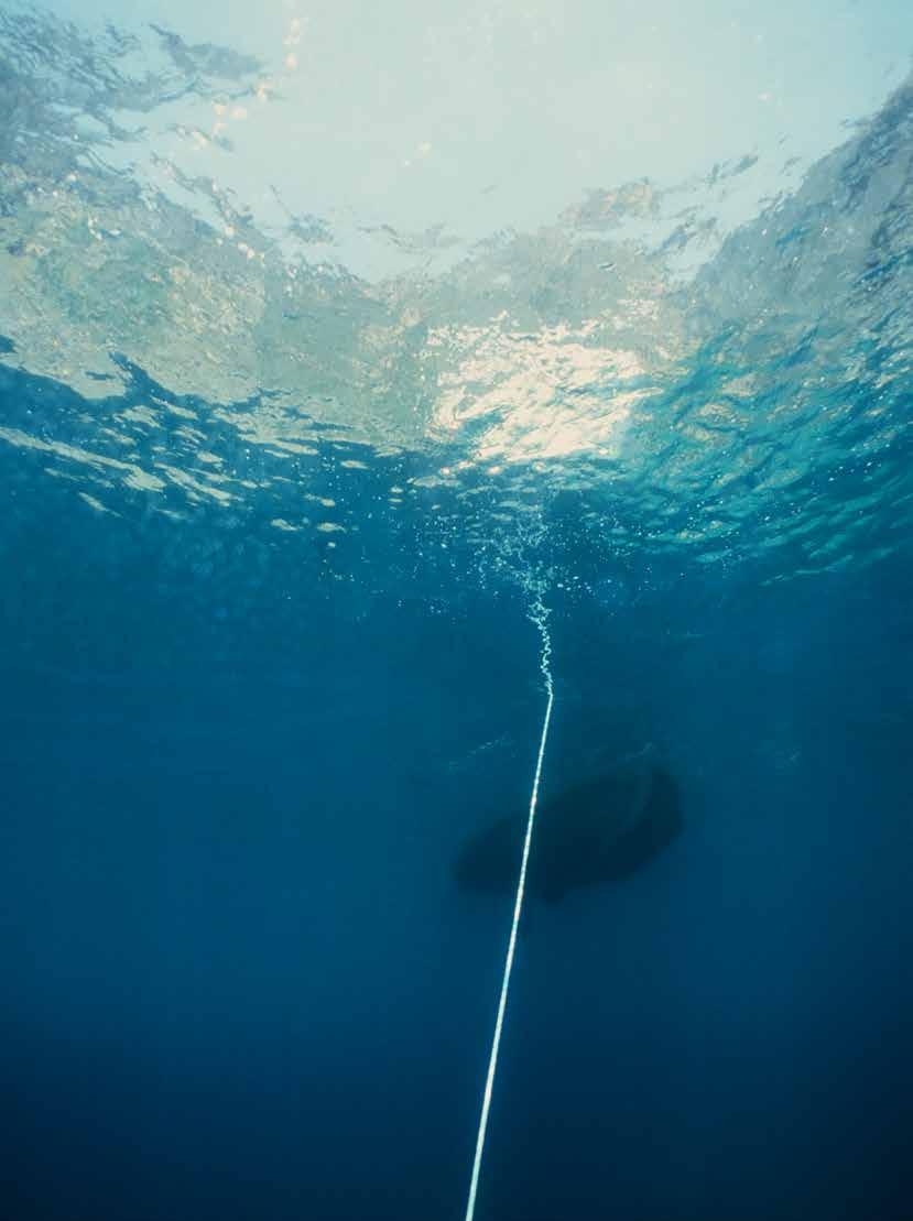ΜΟΝΑΔΑ ΠΑΡΟΧΗΣ ΕΠΙΦΑΝΕΙΑΣ DP1 27 ΜΟΝΑΔΑ ΠΑΡΟΧΗΣ ΕΠΙΦΑΝΕΙΑΣ DP1 Ο σωλήνας της μονάδας παροχής επιφανείας DIVATOR DP1 αποτελεί μια