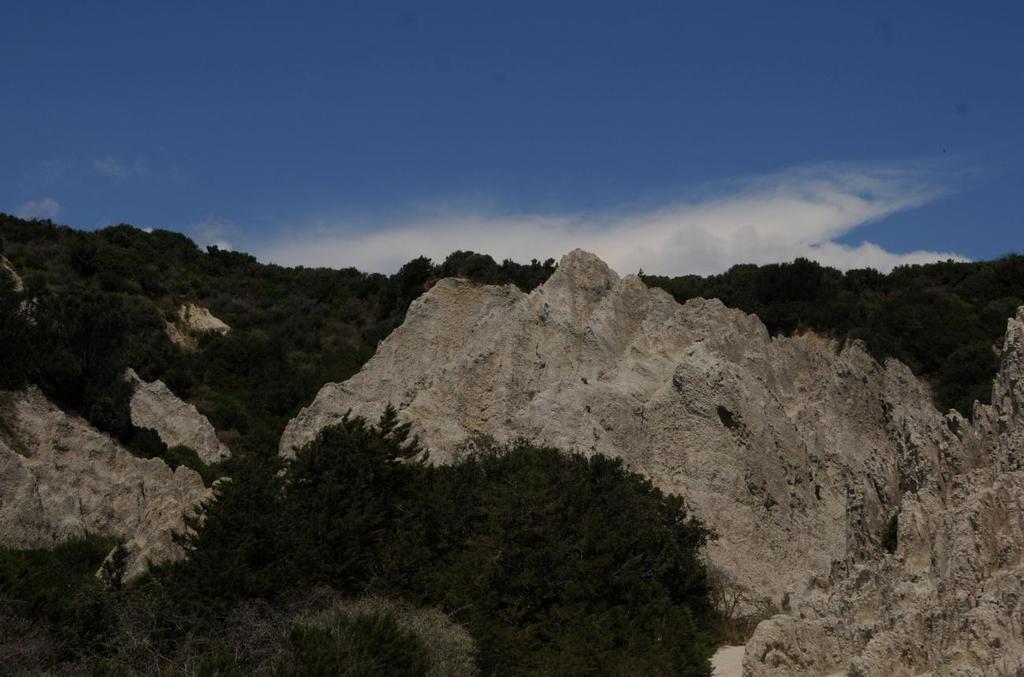 Juniperus phoenicea (5210) Γέρακας,