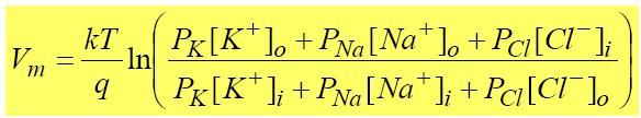 The membrane potential experimentally measured is often different then the Nerst potential for any given ion, due to existence of