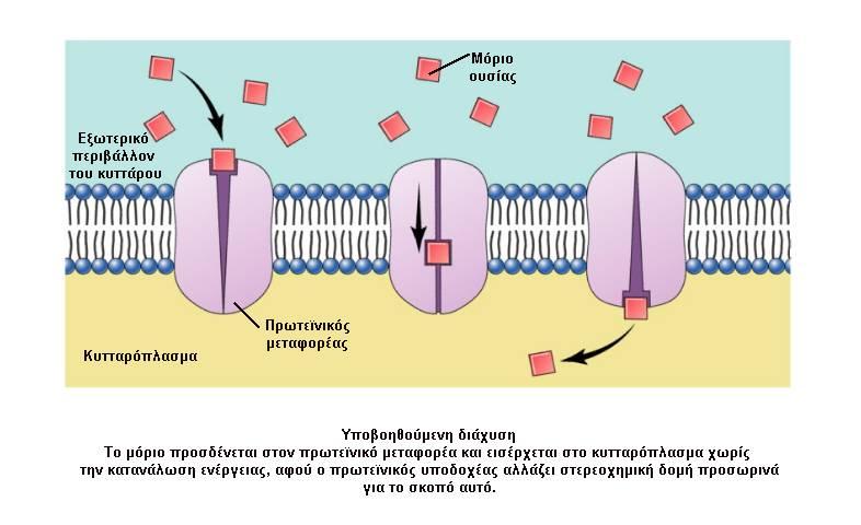 Φαινόμενα παθητικής μεταφοράς