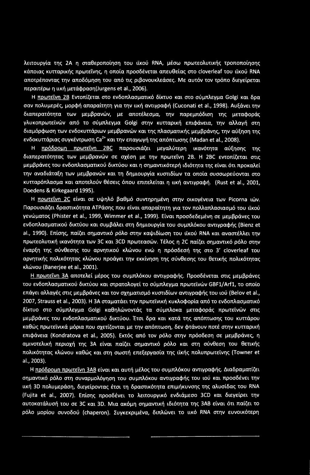 λειτουργία της 2Α η σταθεροποίηση του ιϊκού RNA, μέσω πρωτεολυτικής τροποποίησης κάποιας κυτταρικής πρωτεΐνης, η οποία προσδένεται απευθείας στο cloverleaf του ιϊκού RNA αποτρέποντας την αποδόμηση