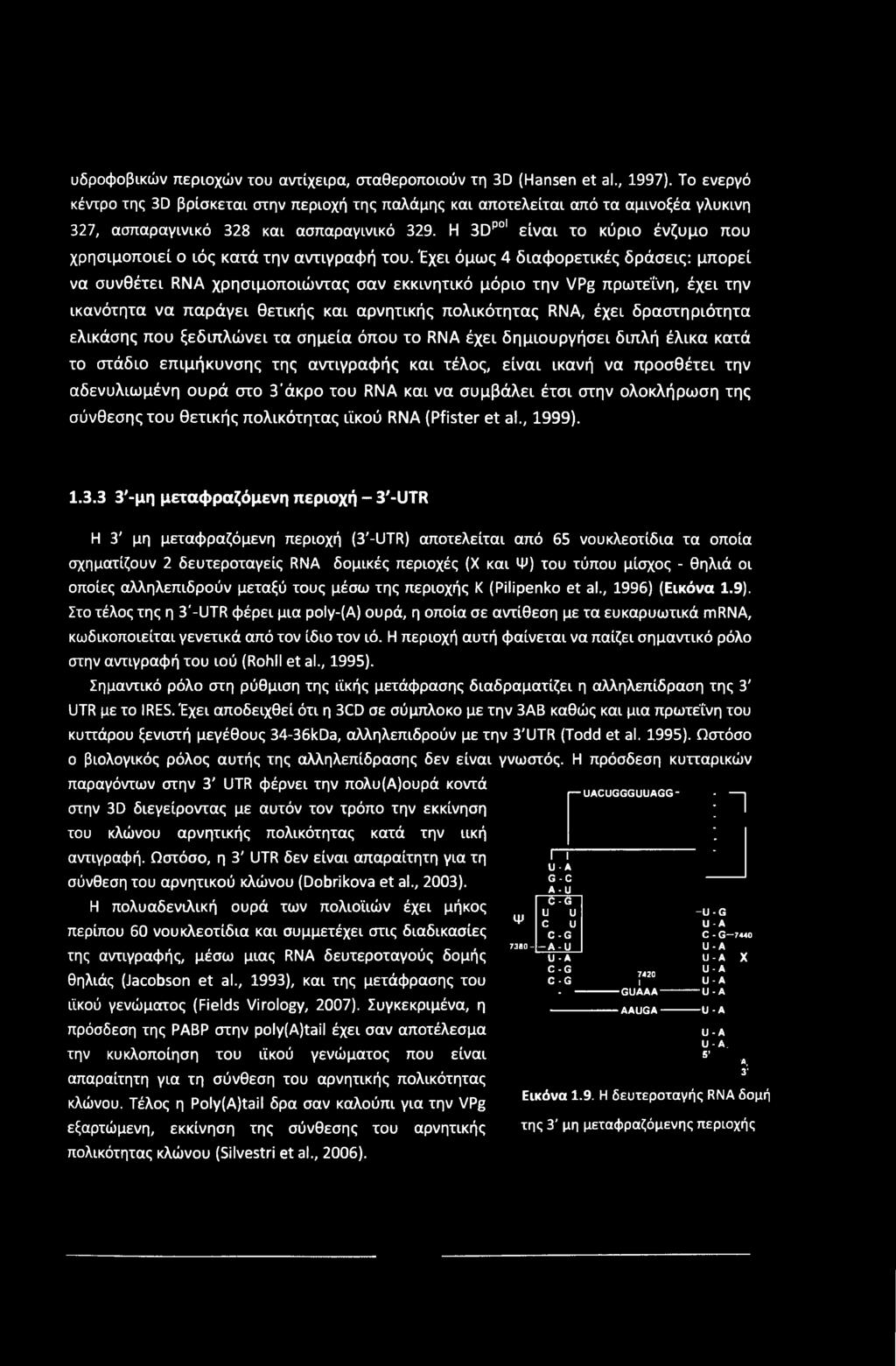υδροφοβικών περιοχών του αντίχειρα, σταθεροποιούν τη 3D (Hansen et al., 1997).