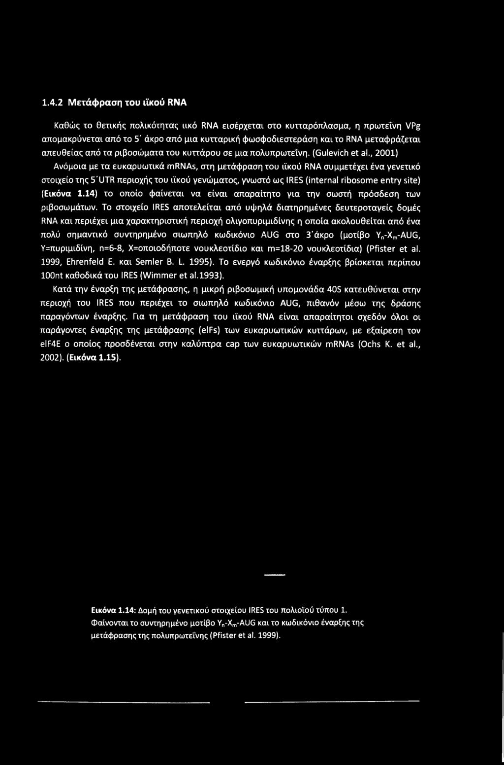 , 2001) Ανόμοια με τα ευκαρυωτικά mrnas, στη μετάφραση του ιϊκού RNA συμμετέχει ένα γενετικό στοιχείο της 5'UTR περιοχής του ιϊκού γενώματος, γνωστό ως IRES (internal ribosome entry site) (Εικόνα 1.