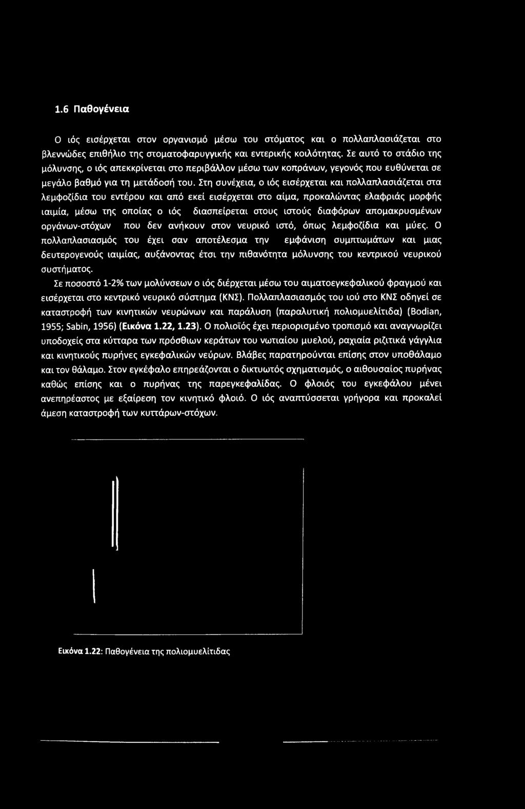 1.6 Παθογένεια 0 ιός εισέρχεται στον ορνανισμό μέσω του στόματος και ο πολλαπλασιάζεται στο βλεννώδες επιθήλιο της στοματοφαρυγνικής και εντερικής κοιλότητας.