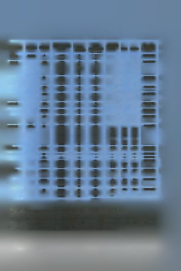 EU598468 586 c G 17 248 6 A EU598477 472 T C 586 c G Sabin 1 VP1 II 2605 G A FJ609769 2765 G A 96 Ala Thr 2776 G T 99 Lys Asn 2795 A G 106 Thr Ala 2917 C T - 2982 A G 168 Glu Gly 3138 A G 220 Gin Arg