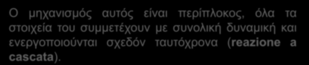 Αιμόσταση Είναι ο φυσιολογικός μηχανισμός που αποσκοπεί κυρίως στην επίσχεση της αιμορραγίας, αυτόματης η προκλητής, με