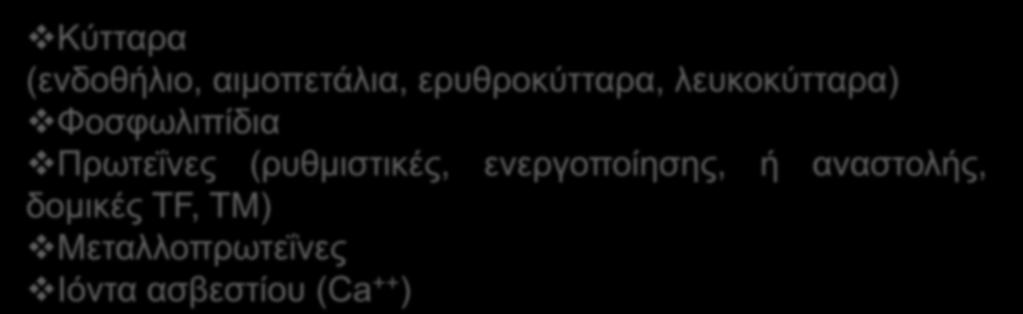 Ο μηχανισμός αυτός είναι περίπλοκος, όλα τα στοιχεία του συμμετέχουν με συνολική δυναμική και ενεργοποιούνται σχεδόν