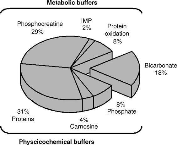 άσκηση Bicarbonate is not the main buffer of H+ in the muscle cell F.