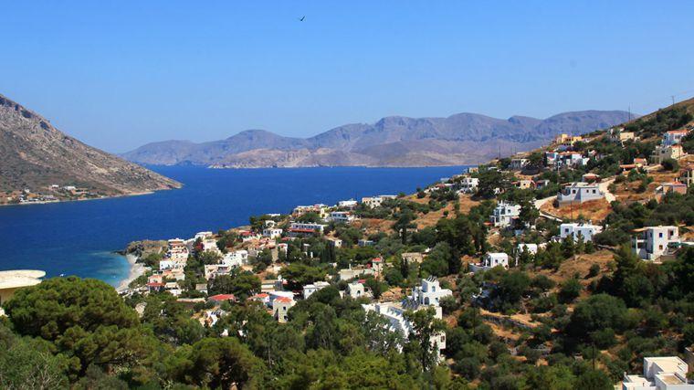18) Λευκός τόνος φρικασέ