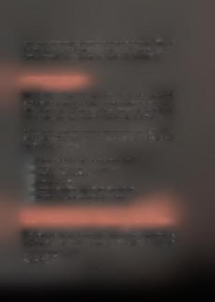 αποτελούν τον καλύτερο πιστωτικό κίνδυνο για το τραπεζικό σύστημα.
