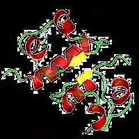 β-αλυσίδας (Β10