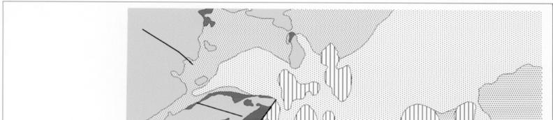 Engineering geological map of