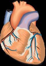 inflammation and atherosclerosis