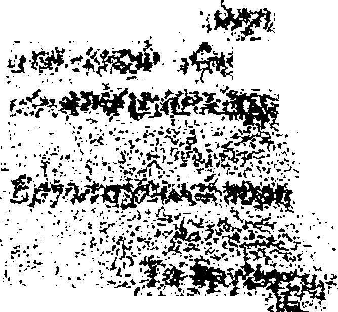 n;v " : :?:*.Η*:,.T.>y>«X. -x* ;.ν;^ν..: '.;*-. * * - 'ν'^.λ:'f( i^ *?*.&*& >*i5jfer. V7 { ;-v., ;?;.r.-;v!