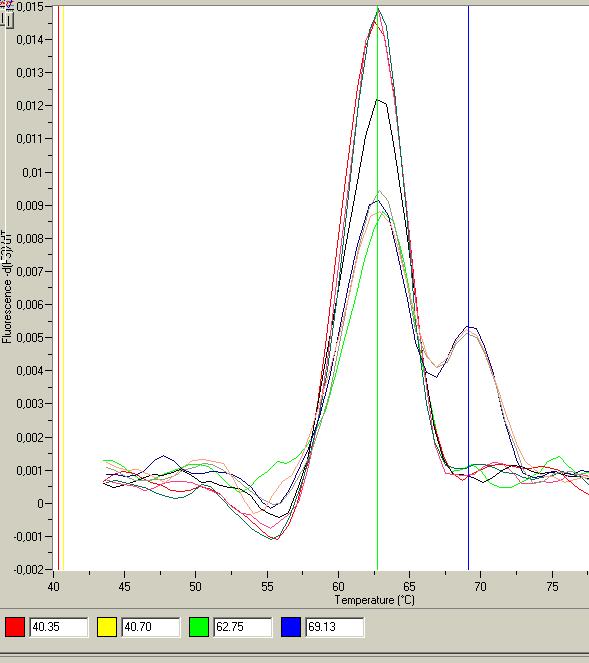 Εικόνα 5. Καμπύλη Τήξης (Melting curve) με Tm= 69.