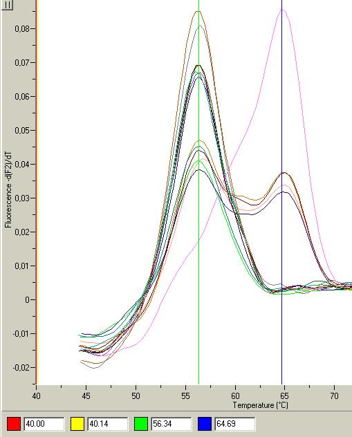 Εικόνα 8. Καμπύλη Τήξης (Melting curve) με Tm= 64.