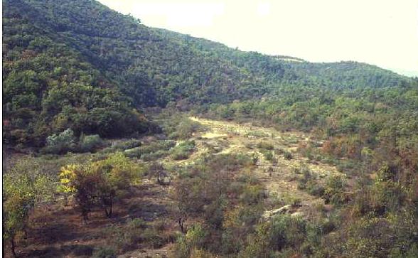 9.4 Μέθοδος χαρτογράφησης O παρατηρητής επισκέπτεται 8-12 φορές µια καθορισµένη περιοχή, καταγράφει