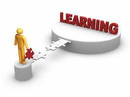 The development of capacity building for