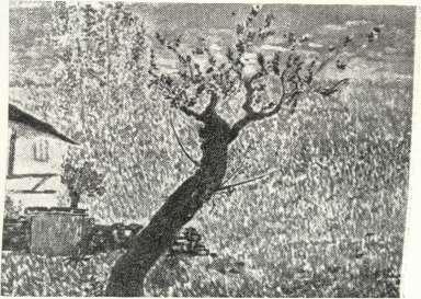 μα&ητών τοΰ σχολείου