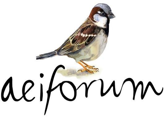 www.aeiforum.