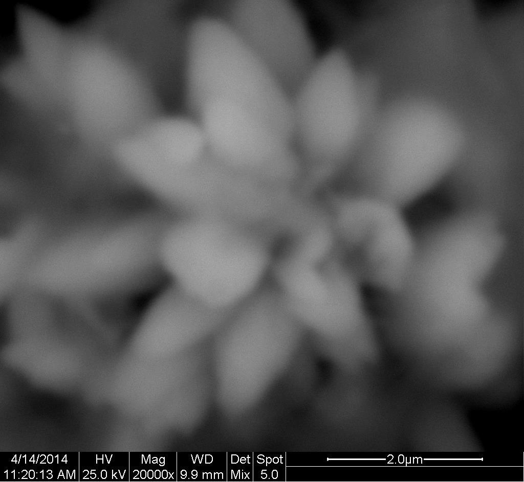 SS-ZnO-5 (1) με μεγεθύνσεις (α: