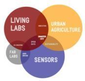 SMART(ER) CITY SENSEABLE CITY + CREATIVE CITY + PRODUCTIVE CITY OPEN DATA URBAN OPEN DATA CROWD BASED SERVICES CITY MANAGEMENT SMART MOBILITY ENERGY MANAGEMENT LIGHT MANAGEMENT WATER MANAGMENT