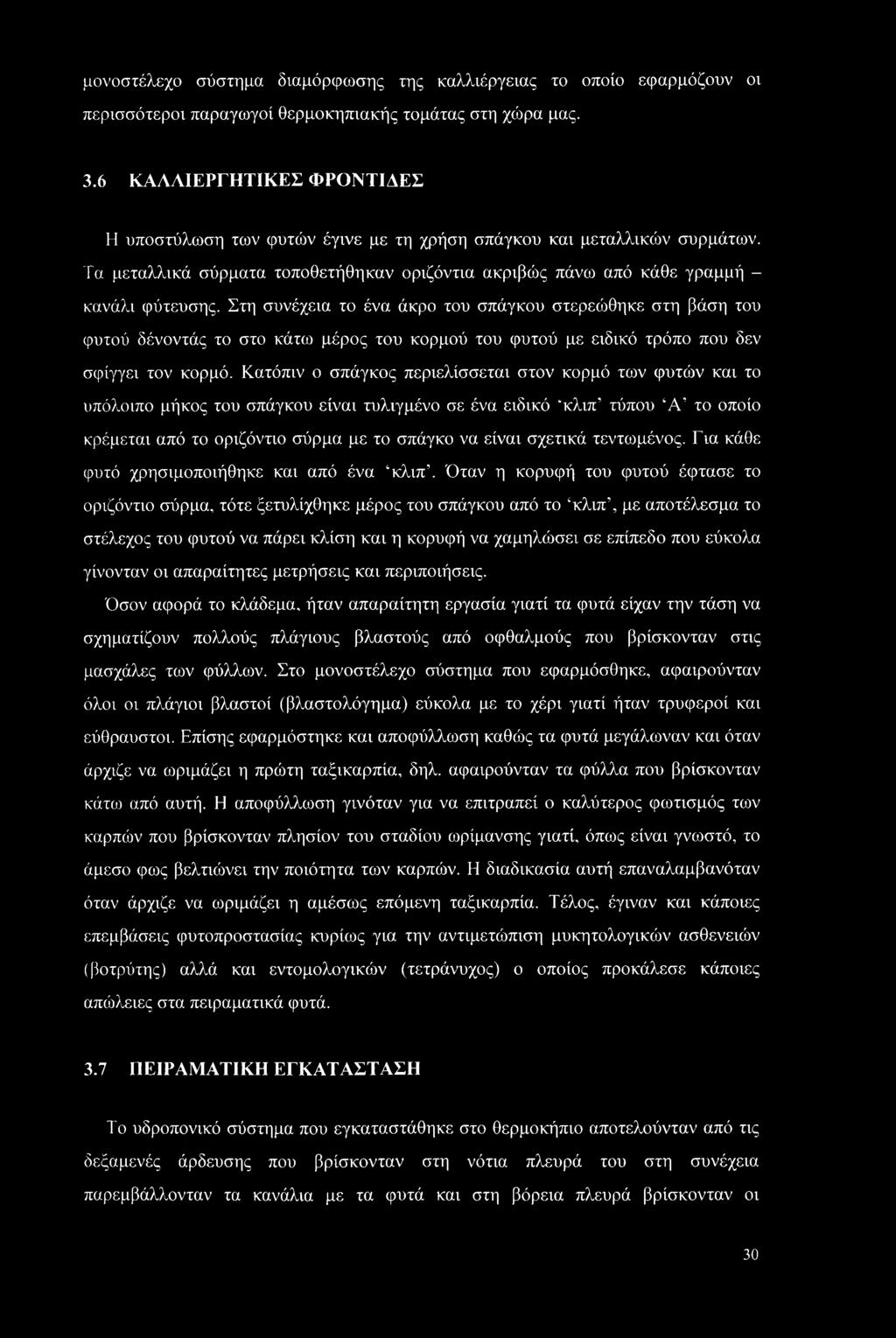 Στη συνέχεια το ένα άκρο του σπάγκου στερεώθηκε στη βάση του φυτού δένοντάς το στο κάτω μέρος του κορμού του φυτού με ειδικό τρόπο που δεν σφίγγει τον κορμό.