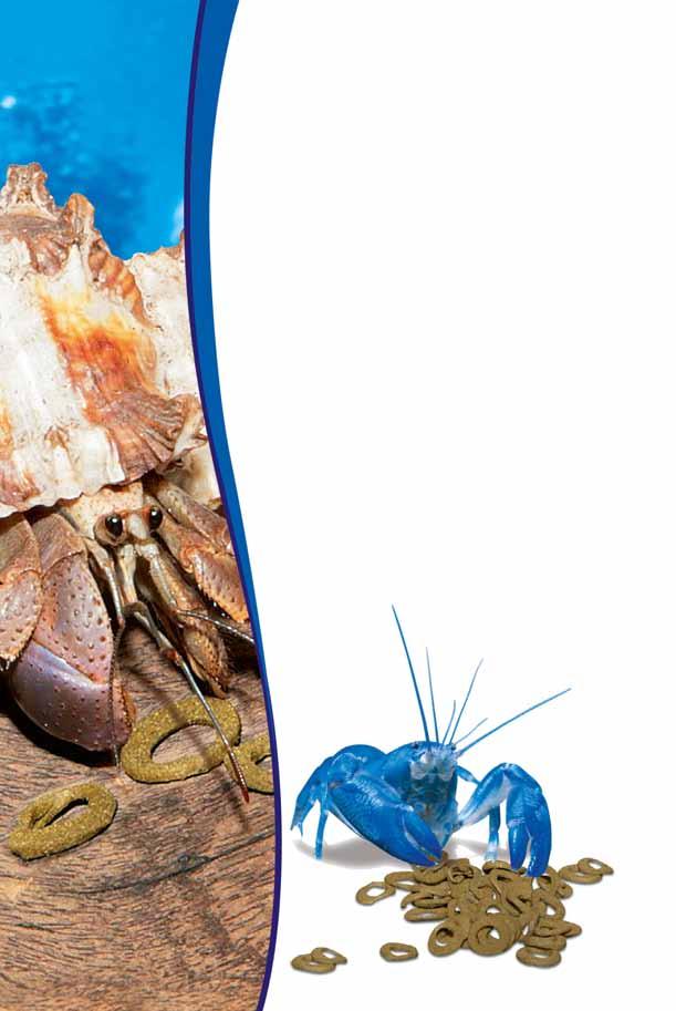 Διατροφή σύμφωνα με την φύση Γαρίδες και καραβίδες είναι παμφάγα ζώα, δηλαδή τρέφονται με τροφές φυτικής όσο και ζωικής προέλευσης.