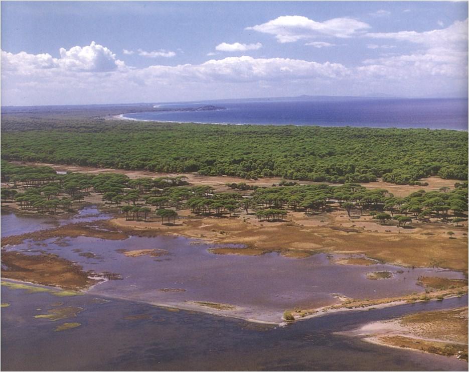 Σο μεγαλύτερο σύμπλεγμα Τγροτόπων (Κοτύχι, Λάμια, Πρόκοπος, Πάππας) της Πελοποννήσου. Μέρος ενός ευρύτερου συμπλέγματος υγροτόπων της περιφέρειας Δ. Ελλάδος.