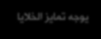 عملية إضافة العناصر إلى الهدب تتم أيضا في