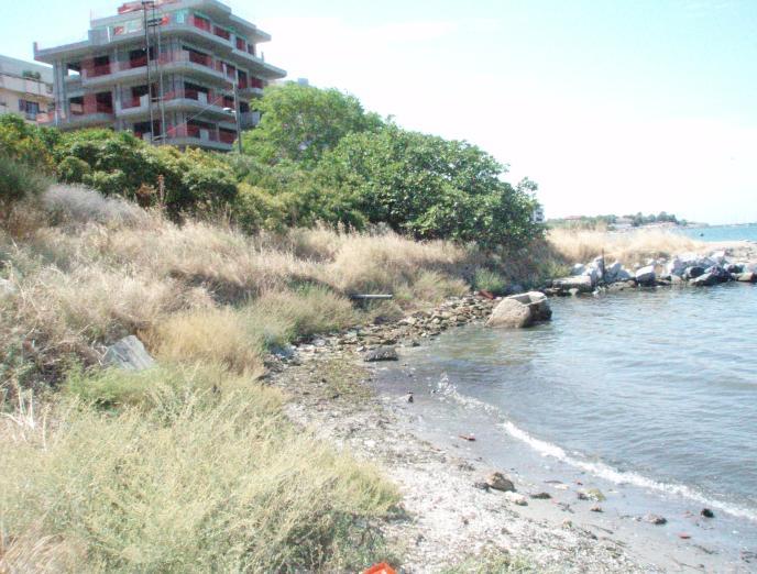 Η παρακϊτω φωτογραφύα δεύχνει την «ευαιςθηςύα» κϊποιων ςυμπολιτών μασ για το θαλϊςςιο περιβϊλλον.