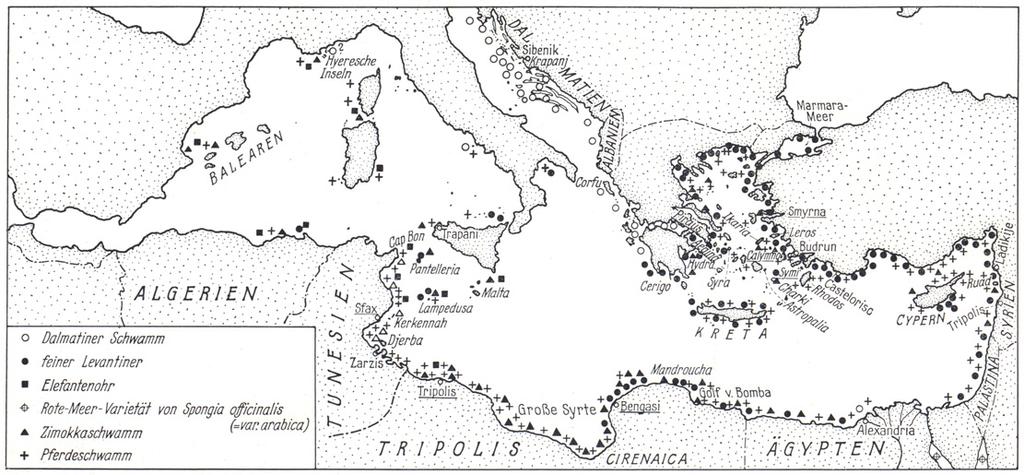 ΕΙΣΑΓΩΓΗ & ΑΙΤΙΟΛΟΓΗΣΗ ΤΗΣ ΜΕΛΕΤΗΣ περιορισμένη διασπορά κατά τη διάρκεια του ελεύθερου σταδίου, η οποία καθορίζεται σε μεγάλο βαθμό από την παράκτια κυκλοφορία (Cropper et al. 2001). γ.4.